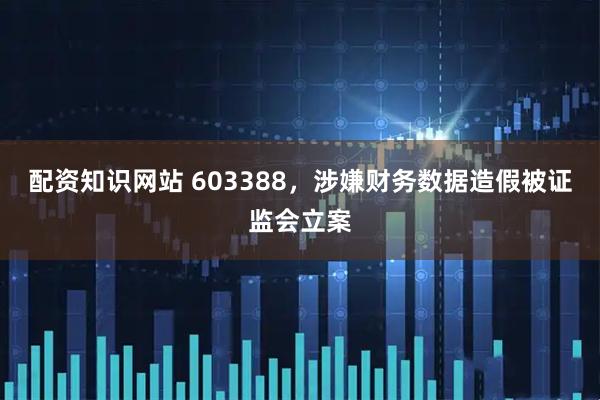 配资知识网站 603388，涉嫌财务数据造假被证监会立案