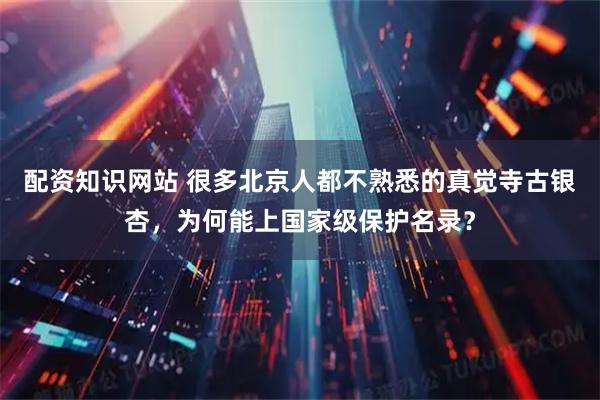 配资知识网站 很多北京人都不熟悉的真觉寺古银杏，为何能上国家级保护名录？